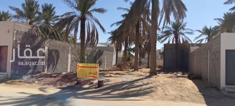 أرض للبيع في شارع المريدسية 49, حي المريديسية الشمالية, مدينة بريدة, منطقة القصيم صورة 3