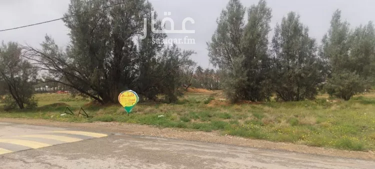 Land for Sale in Buraydah Al Muraydisiyyah صورة 4