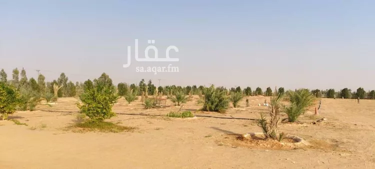 مزرعة للبيع في حي مزارع البندريه, مدينة مزارع البندريه, منطقة القصيم صورة 3