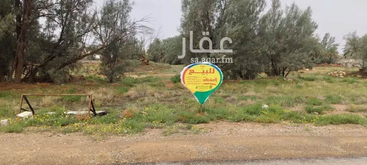 Land for Sale in Buraydah Al Muraydisiyyah صورة 3