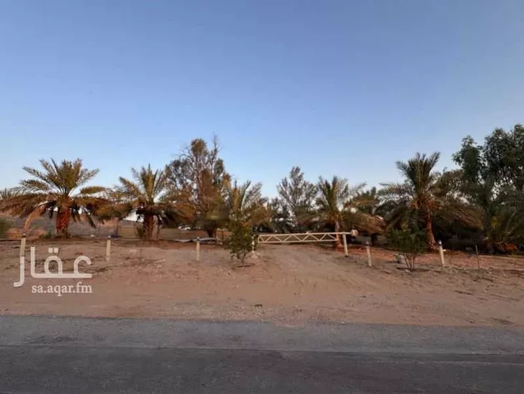 أرض للبيع في حي خب الجطيلي, مدينة بريدة, منطقة القصيم صورة 3