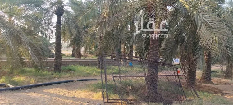 مزرعة للبيع في مدينة عنيزة, منطقة القصيم صورة 4