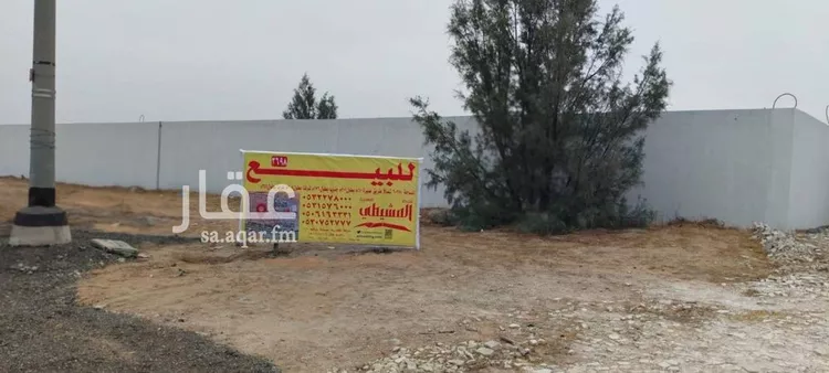 أرض للبيع في مدينة بريدة, منطقة القصيم صورة 3