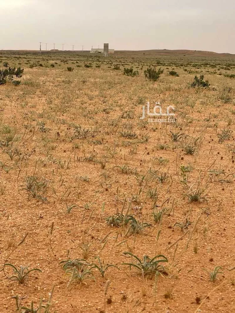 أرض للإيجار في الغزيز ، ضرما صورة 4