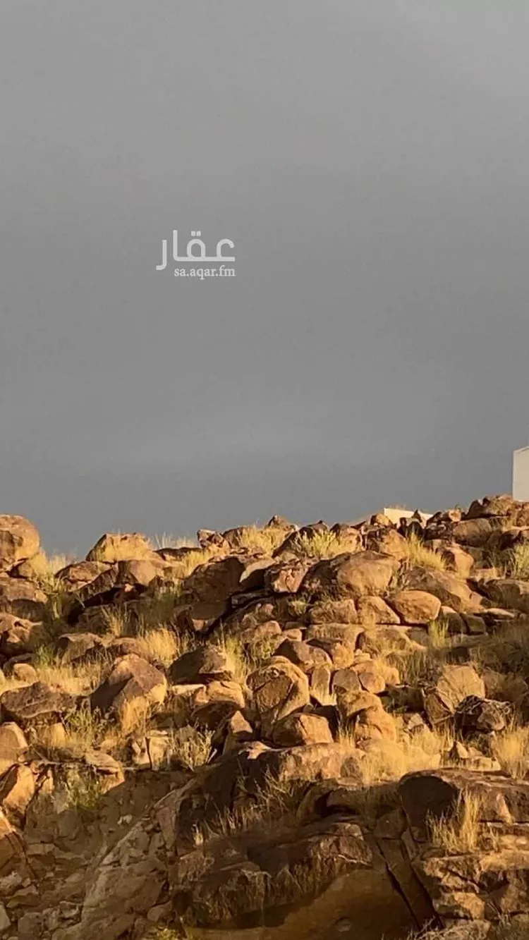 Land for Sale in Khamis Mushait Ar Rabie صورة 4