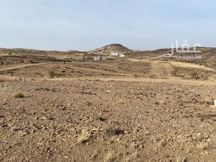 أرض للبيع في شارع 0000, حي الجزيرة, مدينة خميس مشيط, منطقة عسير صورة 3