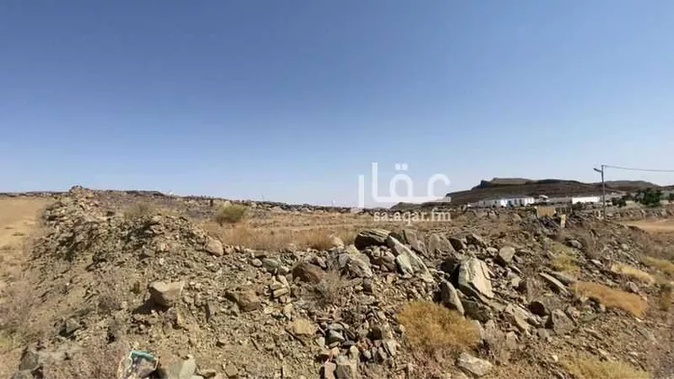 أرض للبيع في شارع 0000, حي النرجس, مدينة أبها, منطقة عسير صورة 3