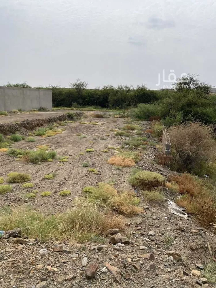 أرض للبيع في شارع 0000, حي الغدير, مدينة أبها, منطقة عسير صورة 2