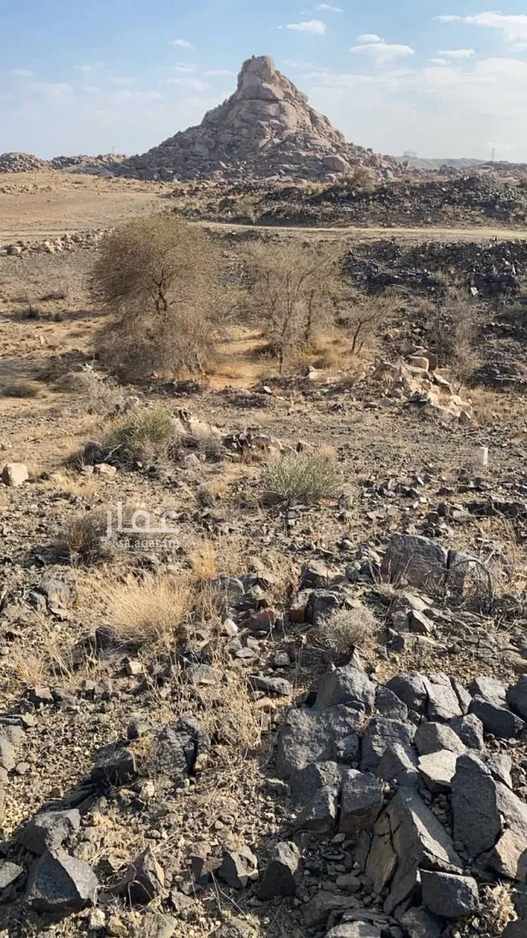أرض للبيع في شارع 0000, حي النرجس, مدينة أبها, منطقة عسير صورة 2