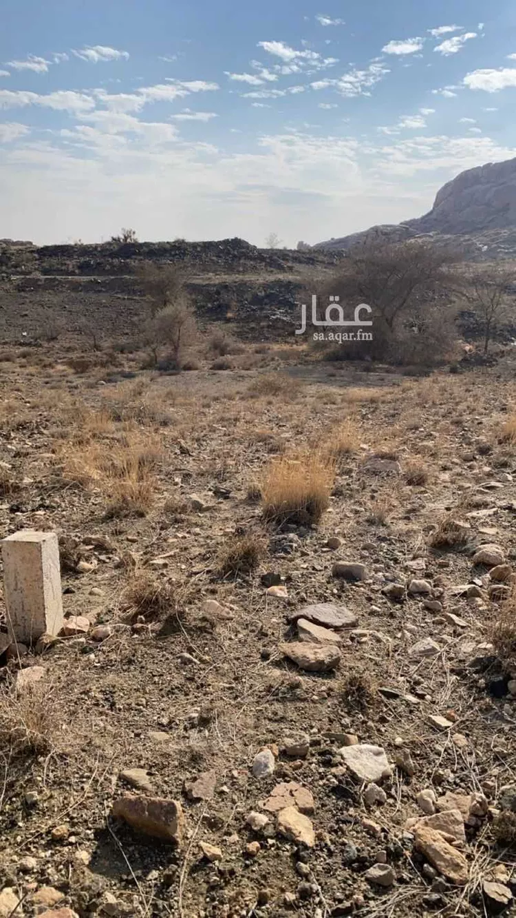 أرض للبيع في شارع 0000, حي النرجس, مدينة أبها, منطقة عسير صورة 3