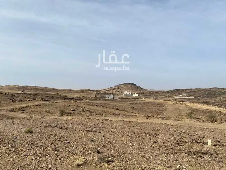 أرض للبيع في شارع 0000, حي الجزيرة, مدينة خميس مشيط, منطقة عسير صورة 4