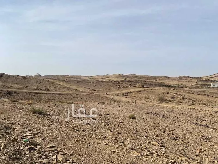 أرض للبيع في شارع 0000, حي الجزيرة, مدينة خميس مشيط, منطقة عسير صورة 5