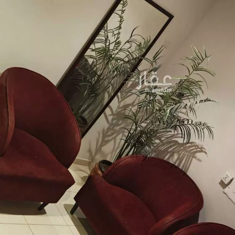 Apartment for Rent in Riyadh Al Olaya