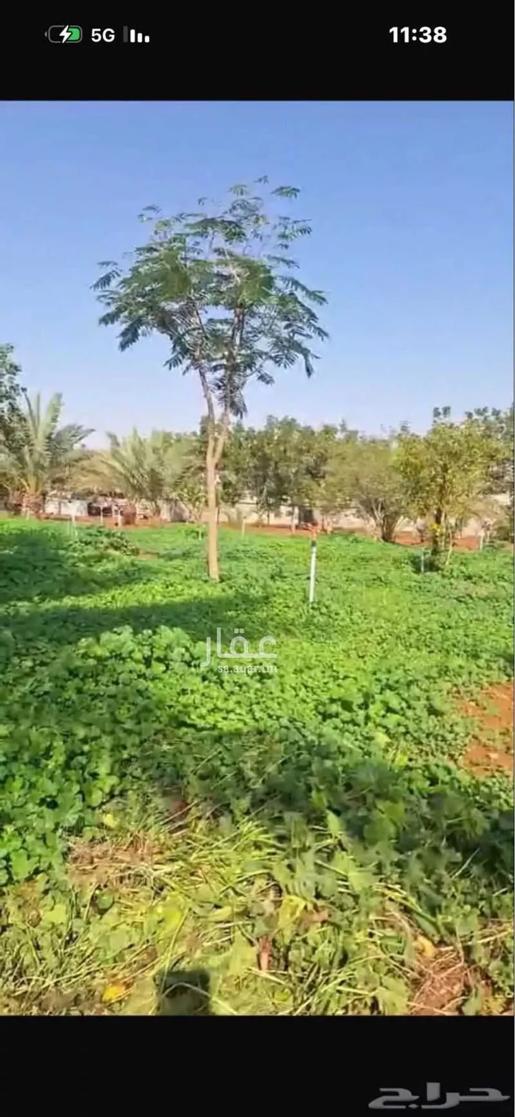 مزرعة للبيع في شارع طريق الملك عبدالعزيز, حي الورود, مدينة ضرما, منطقة الرياض