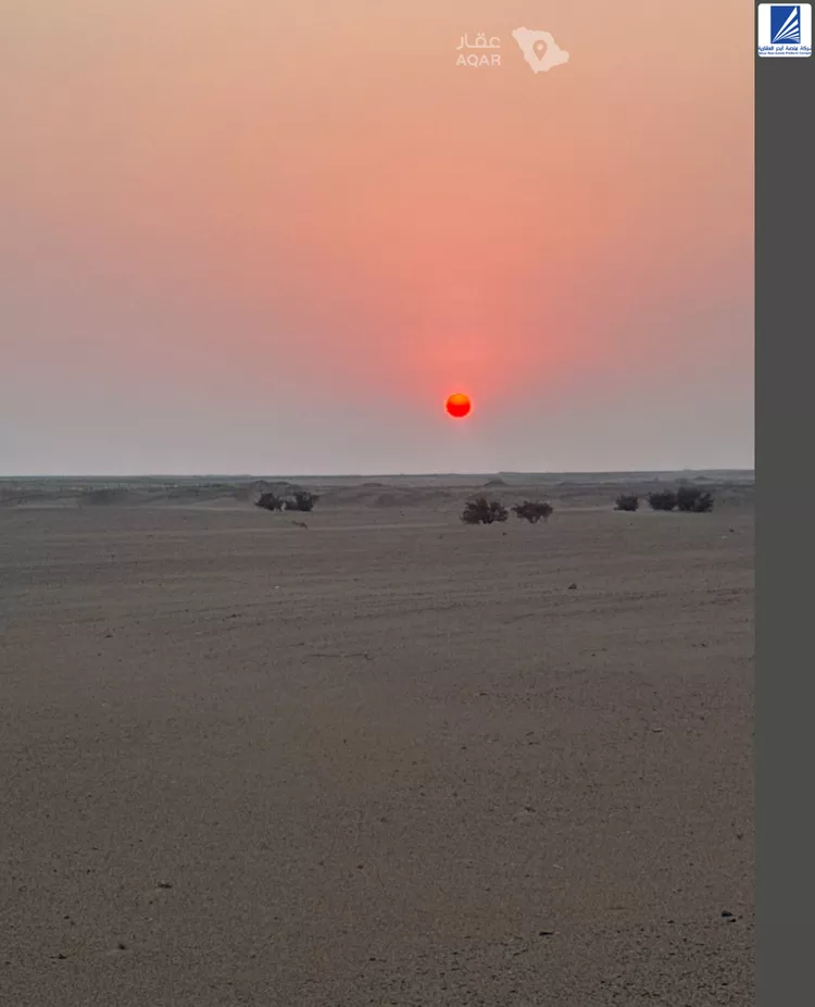 أرض للبيع في حي البوادر, مدينة جدة, منطقة مكة المكرمة 9