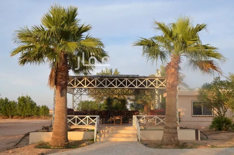 مزرعة للبيع في حي عوده سدير, مدينة حوطه سدير, منطقة الرياض صورة 2