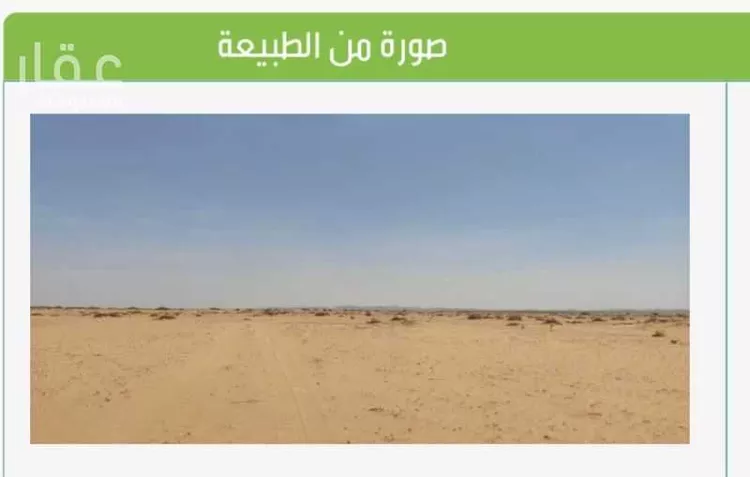 أرض للبيع في حي الوداد, مدينة جدة, منطقة مكة المكرمة صورة 5