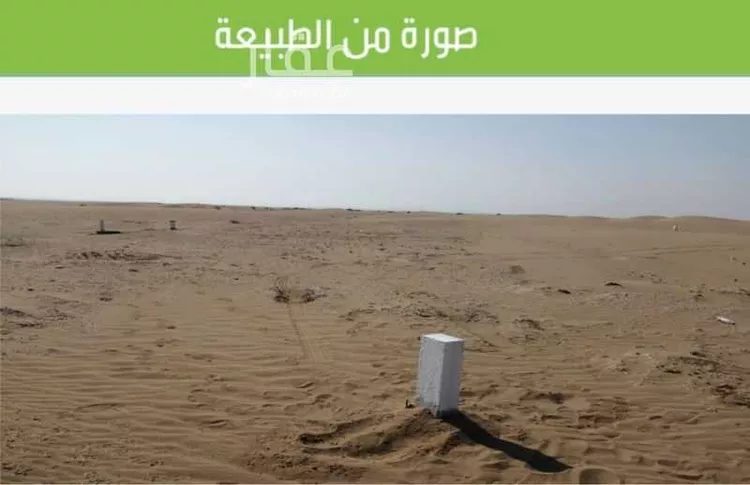أرض للبيع في حي الشرائع, مدينة جدة, منطقة مكة المكرمة صورة 5