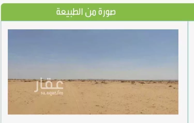 أرض للبيع في حي الوداد, مدينة جدة, منطقة مكة المكرمة صورة 3