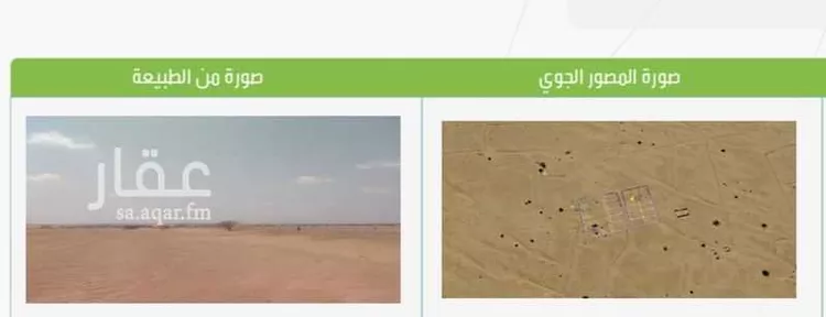أرض للبيع في حي الوداد, مدينة جدة, منطقة مكة المكرمة 8