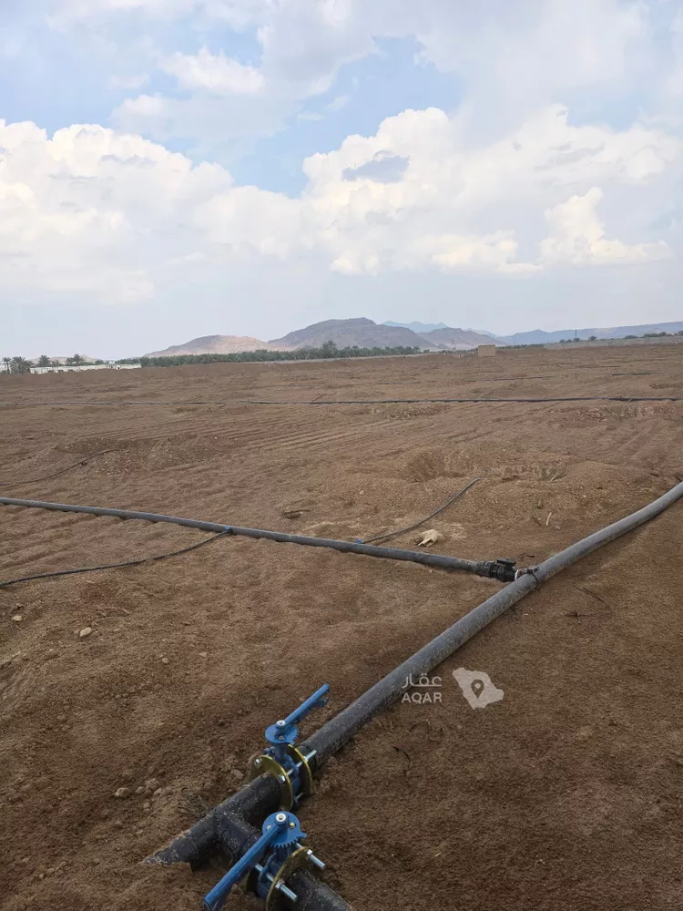 Farm for Sale in Medina Al Balqaa صورة 3