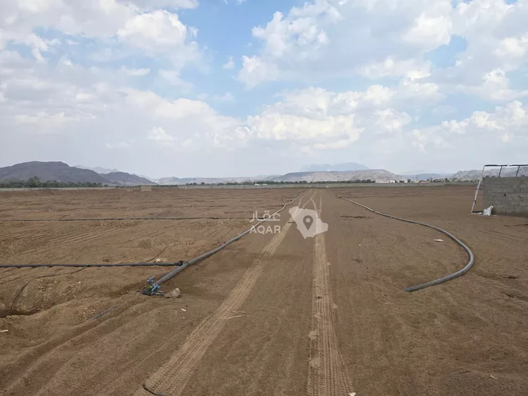 Farm for Sale in Medina Al Balqaa