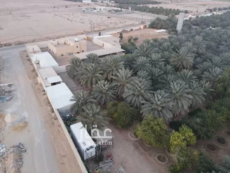 مزرعة للبيع في شارع المنيصف 481, مدينة الهياثم, منطقة الرياض صورة 4
