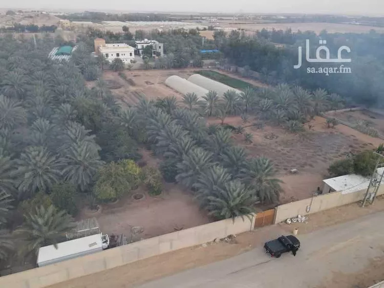 مزرعة للبيع في شارع المنيصف 481, مدينة الهياثم, منطقة الرياض صورة 5