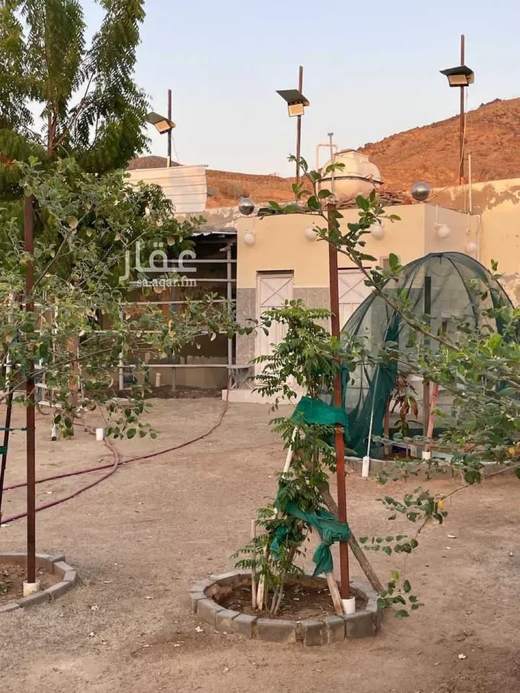 استراحة للبيع في شارع علي القابسي, حي أم حبلين الغربية, مدينة جدة, منطقة مكة المكرمة