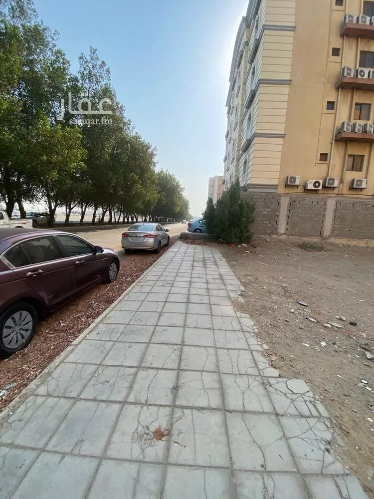 أرض للبيع في شارع جعفر المعتصم, حي الريان, مدينة جدة, منطقة مكة المكرمة صورة 3