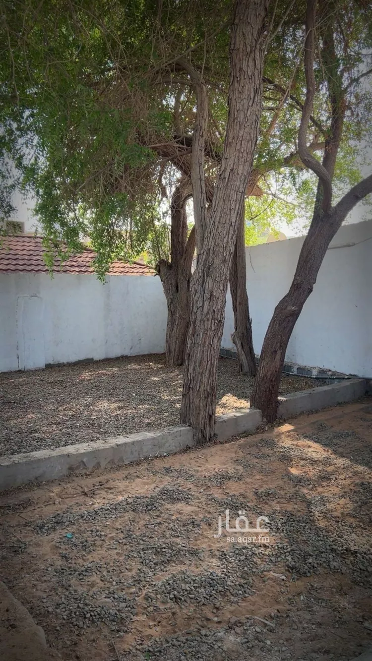 استراحة للإيجار في شارع طريق عمر بن الخطاب, حي عروة, مدينة المدينة المنورة, منطقة المدينة المنورة صورة 4