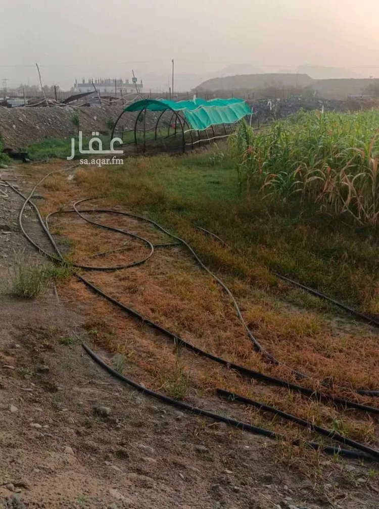 مزرعة للبيع في المرتفعات ، منطقة الباحة صورة 3