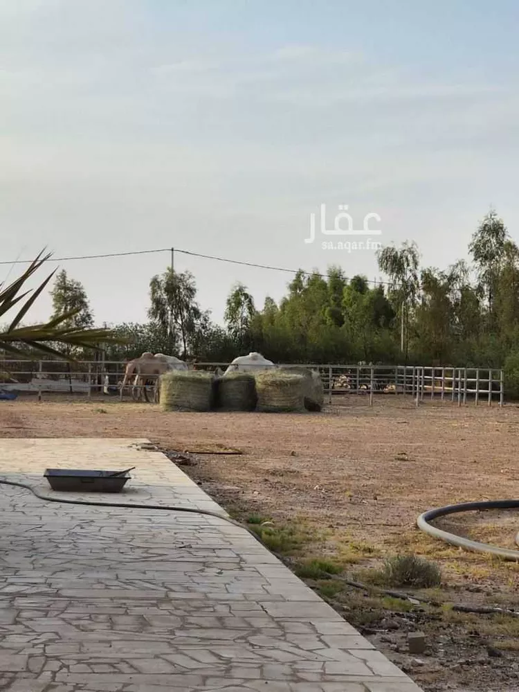 مزرعة للبيع في حي العليا, مدينة الجلة, منطقة الرياض 8