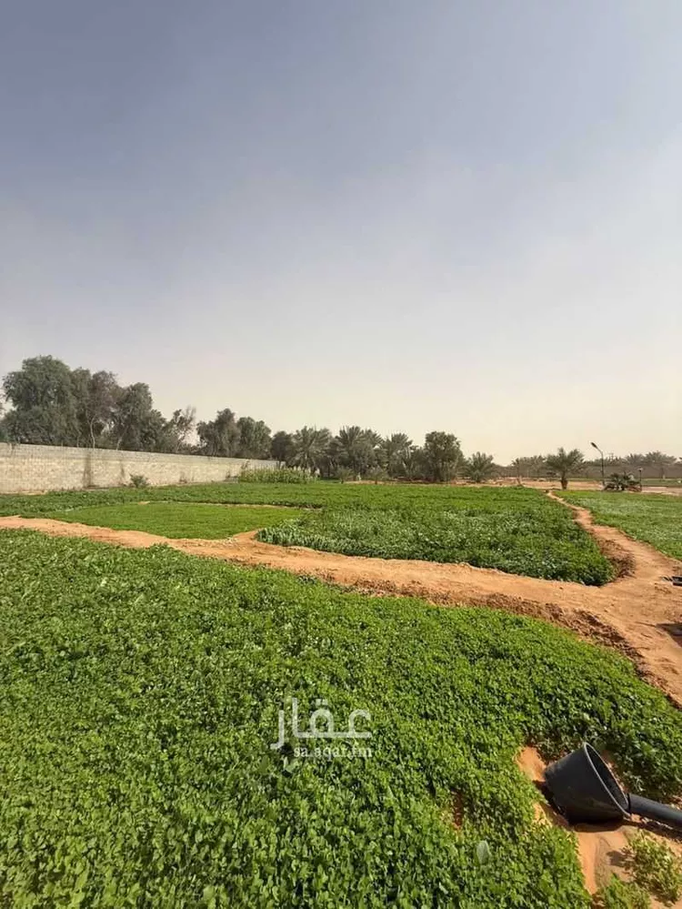 أرض للبيع في شارع البدائع 825, مدينة البدائع, منطقة الرياض صورة 4