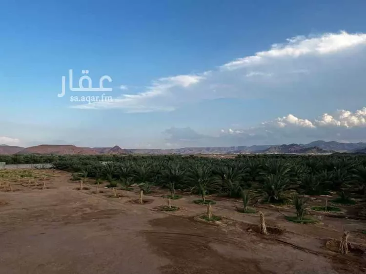 أرض للبيع في شارع المندسة 740, حي المندسة, مدينة المدينة المنورة, منطقة المدينة المنورة صورة 3