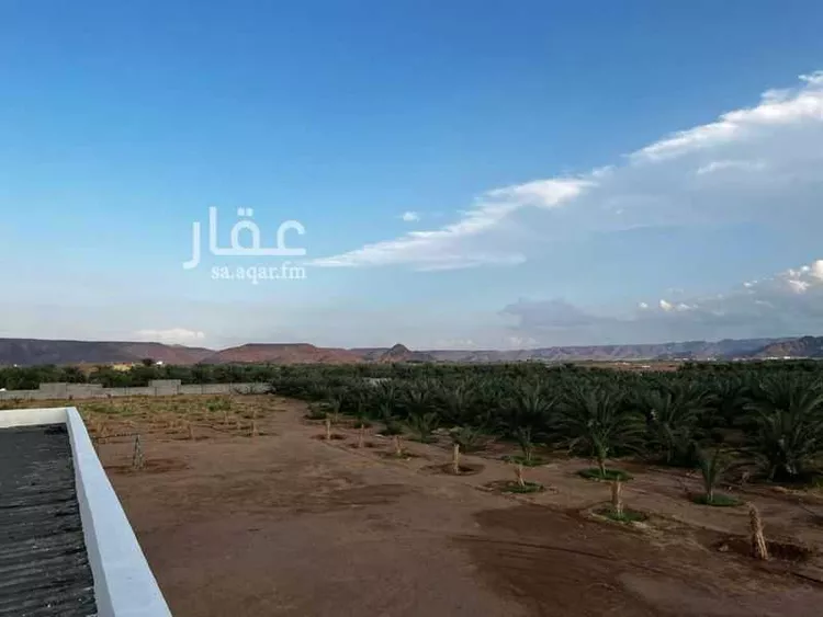 أرض للبيع في شارع المندسة 740, حي المندسة, مدينة المدينة المنورة, منطقة المدينة المنورة صورة 5