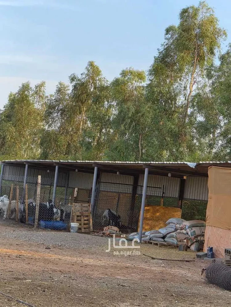 مزرعة للبيع في حي العليا, مدينة الجلة, منطقة الرياض 21