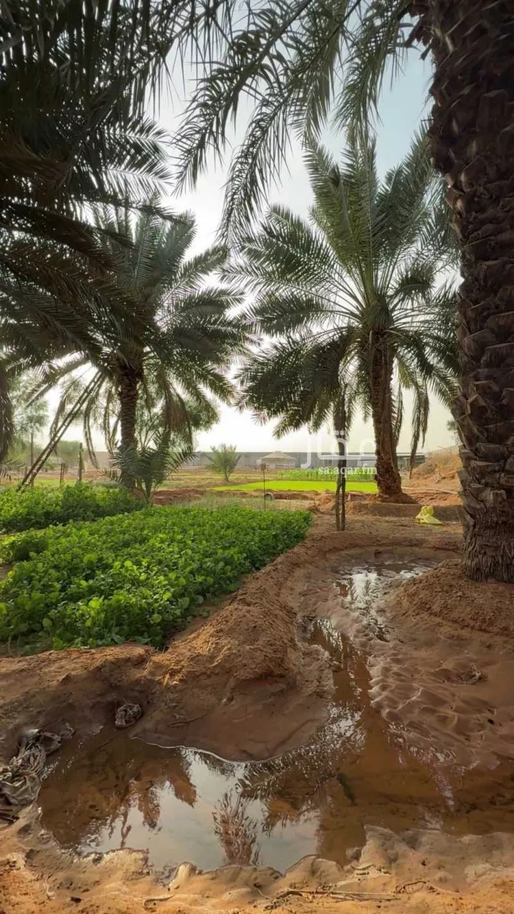 أرض للبيع في شارع البدائع 825, مدينة البدائع, منطقة الرياض