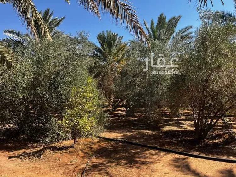 أرض للبيع في حي ام طليح ومزارعها, مدينة الجلة, منطقة الرياض صورة 2