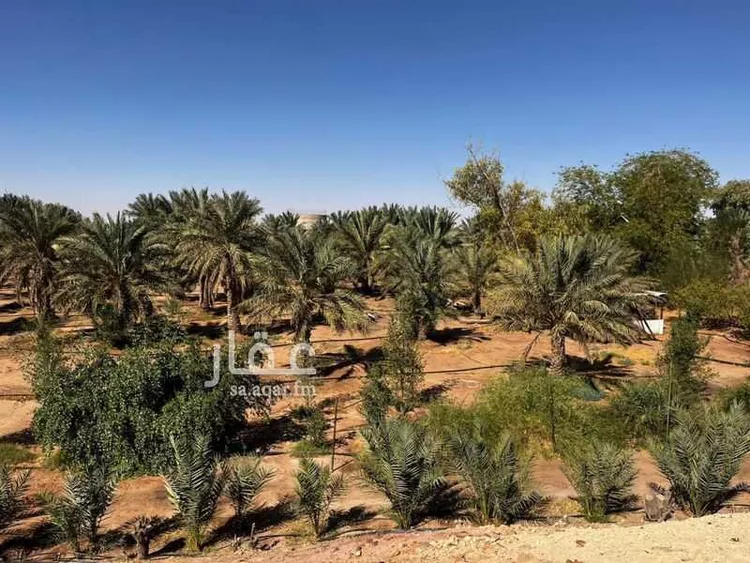 أرض للبيع في حي ام طليح ومزارعها, مدينة الجلة, منطقة الرياض