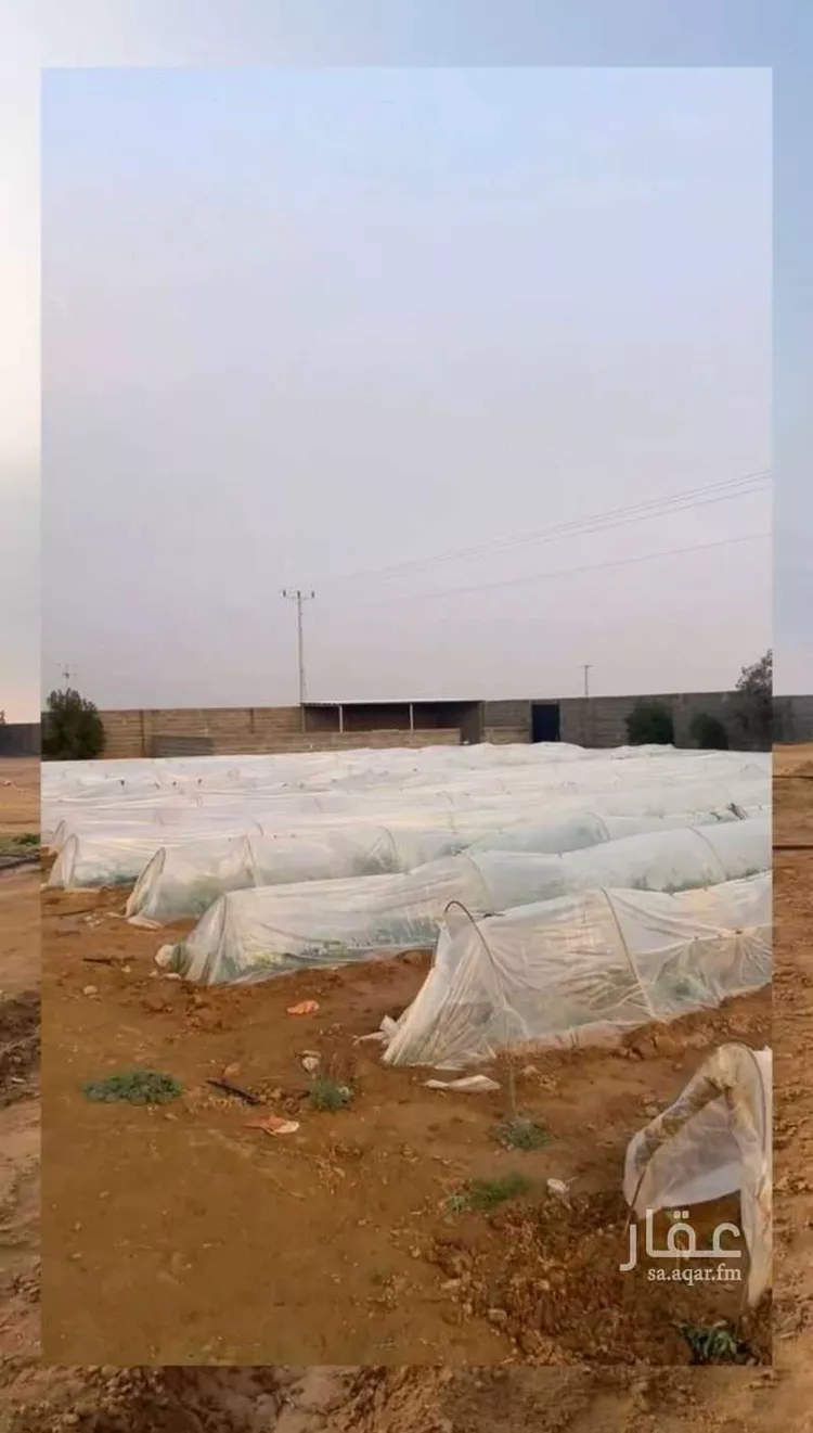 مزرعة للبيع في مدينة الجلة, منطقة الرياض