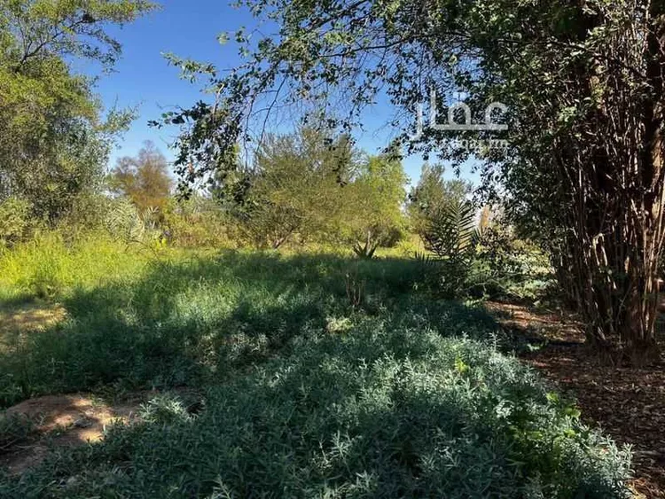 أرض للبيع في حي ام طليح ومزارعها, مدينة الجلة, منطقة الرياض صورة 3