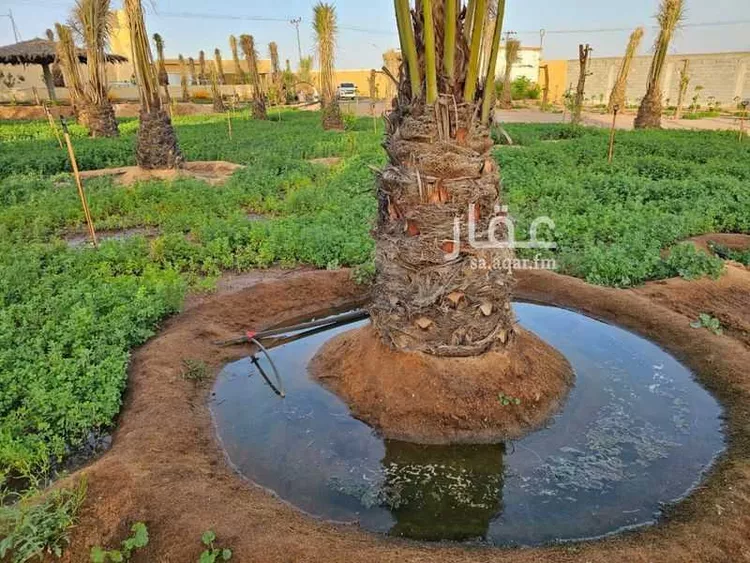 استراحة للبيع في حي الصيهد (ال ولمه), مدينة الصيهد (ال ولمه), منطقة الرياض صورة 4