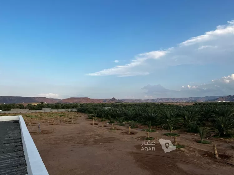 أرض للبيع في شارع المندسة 740, حي المندسة, مدينة المدينة المنورة, منطقة المدينة المنورة
