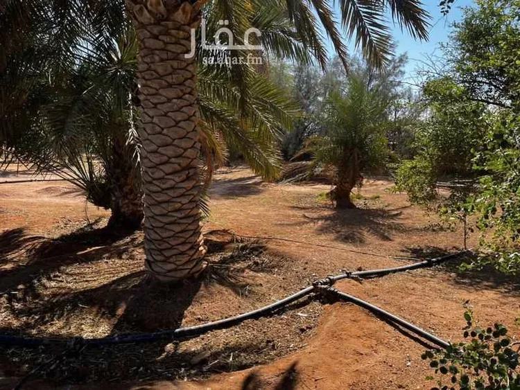 أرض للبيع في حي ام طليح ومزارعها, مدينة الجلة, منطقة الرياض صورة 4