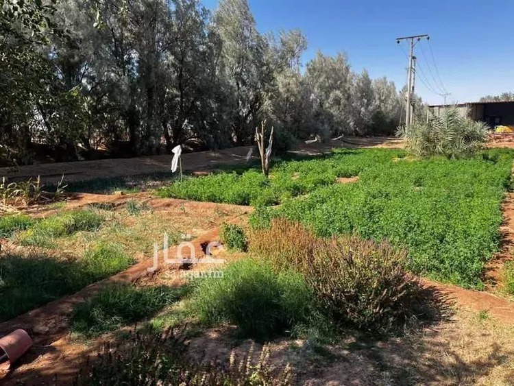 أرض للبيع في حي ام طليح ومزارعها, مدينة الجلة, منطقة الرياض صورة 5