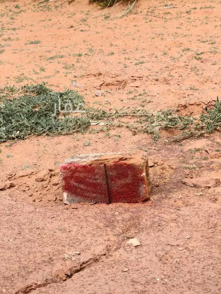 أرض للإيجار في حي هجره الذيبيه وخضراء, مدينة هجره الذيبيه وخضراء, منطقة الرياض صورة 4