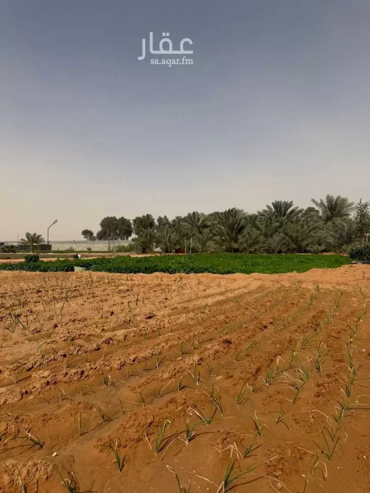 أرض للبيع في شارع البدائع 825, مدينة البدائع, منطقة الرياض صورة 2