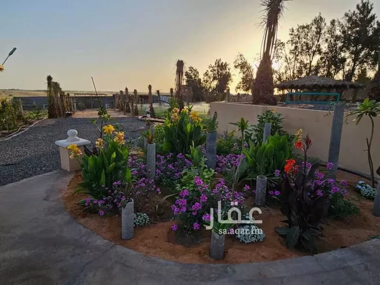 استراحة للبيع في حي الصيهد (ال ولمه), مدينة الصيهد (ال ولمه), منطقة الرياض صورة 5