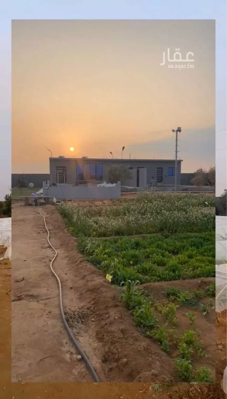 مزرعة للبيع في مدينة الجلة, منطقة الرياض صورة 3